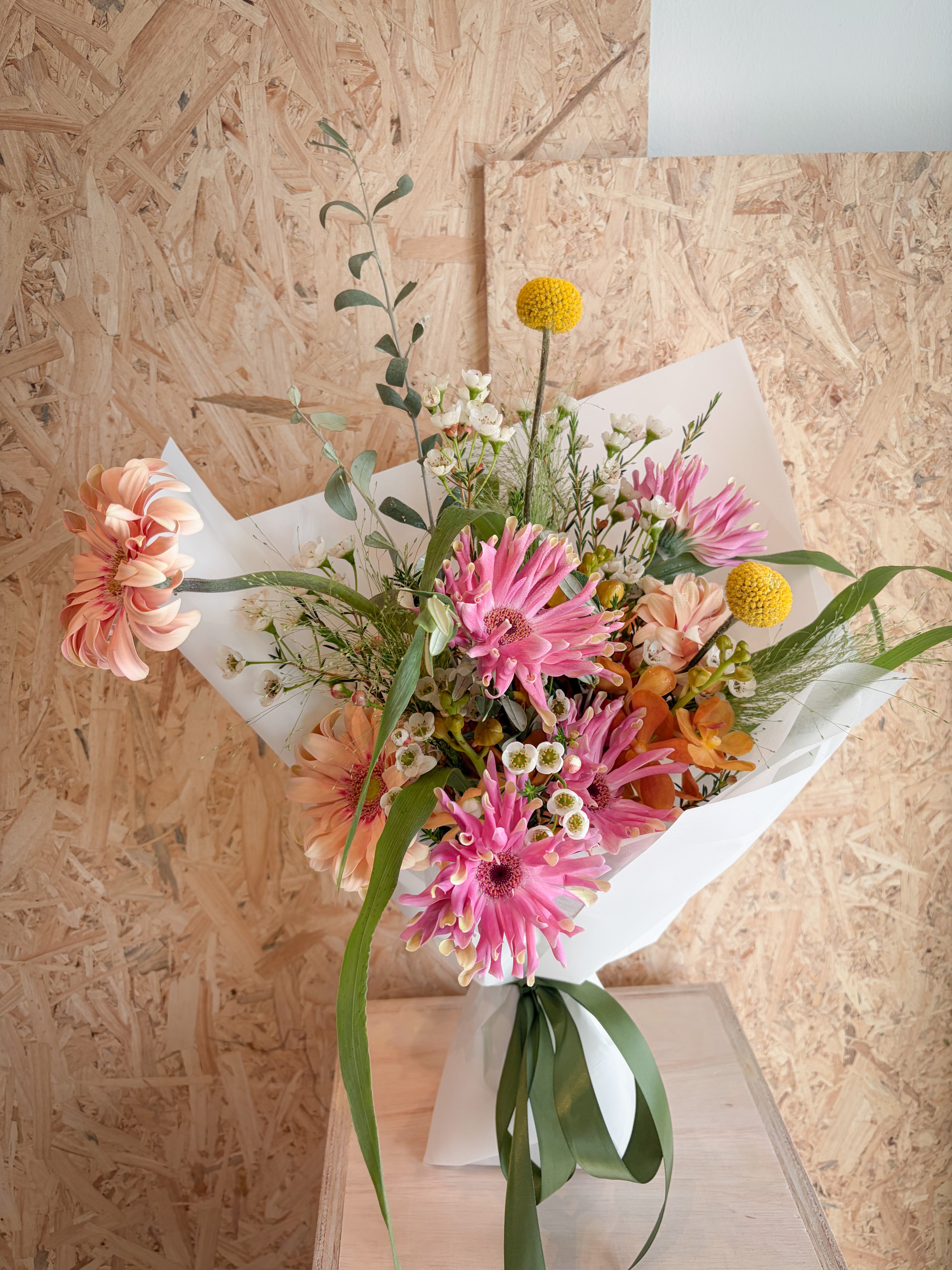 Fur Real Safe (Pet - Friendly Safe!)