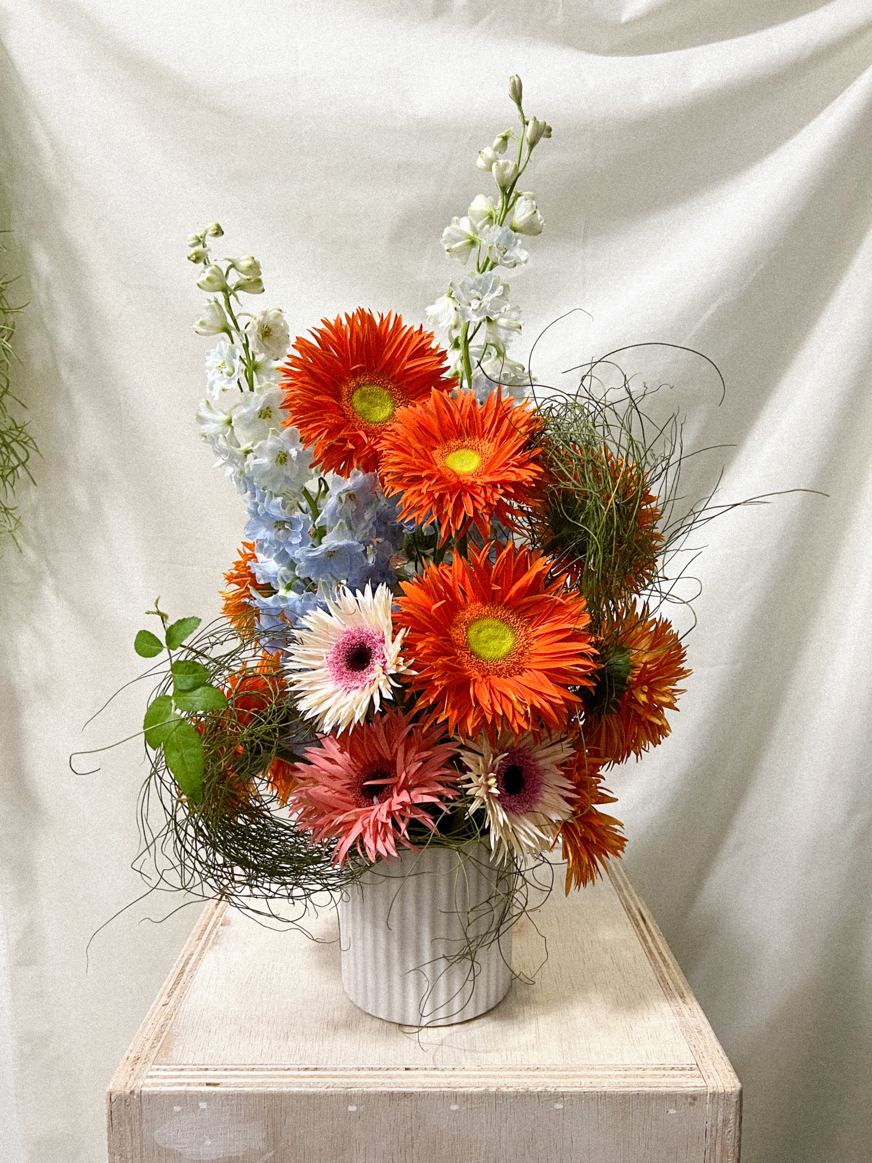 Subscription - Wild Wow Bloom