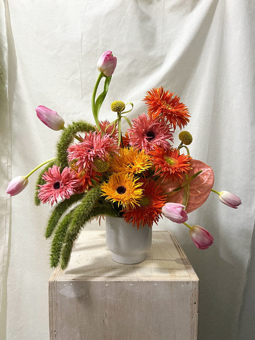Subscription - Wild Wow Bloom