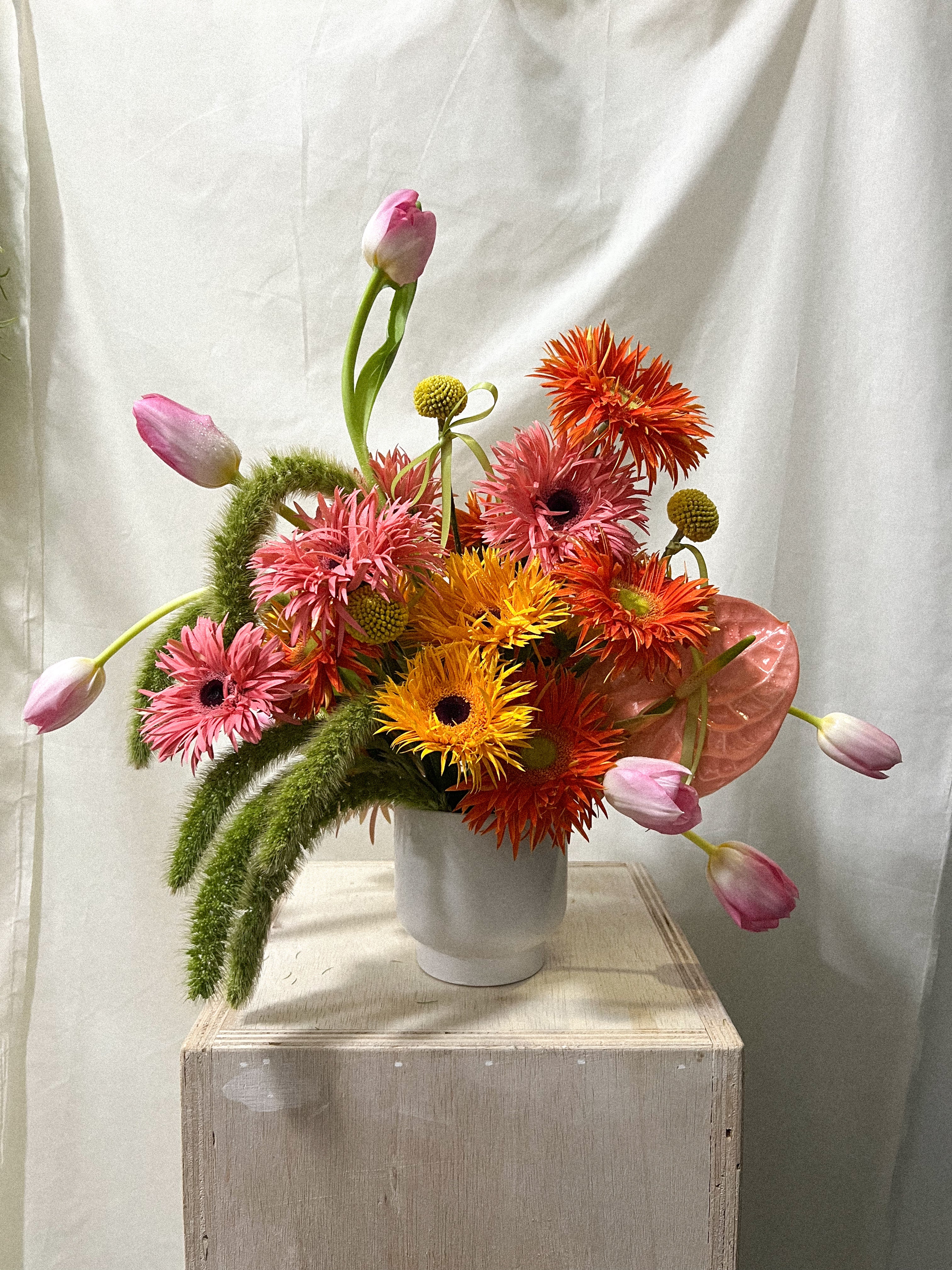 Subscription - Wild Wow Bloom