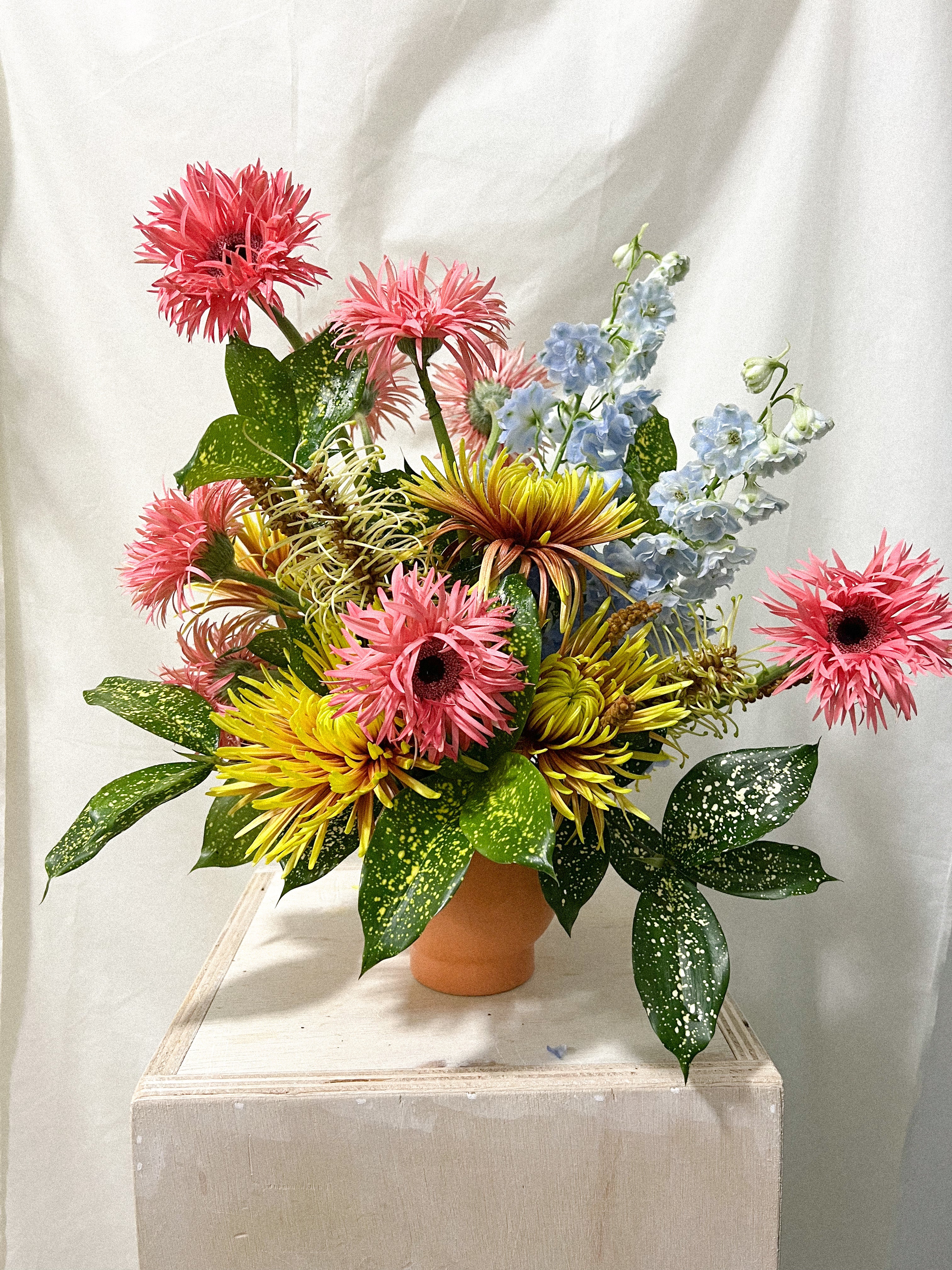 Subscription - Wild Wow Bloom